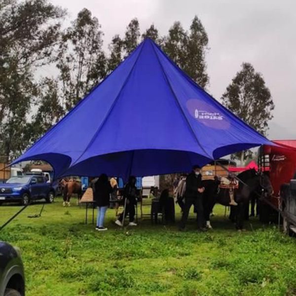 Carpa Araña 8*8 mts - Imagen 2